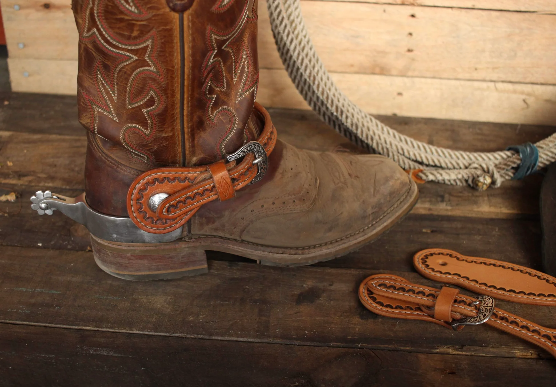 Western Tack Sales Store -Western Tack Sales Store BA5D8D08 56DC 4F2C B45C 4DE512144E8D